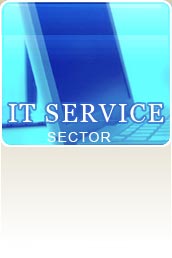 IT Service